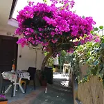 Bed & Breakfast Baia Di Riaci Tropea