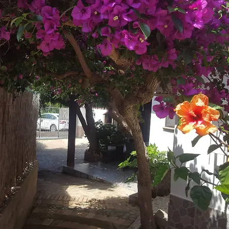 Baia Di Riaci Tropea 3* Santa Domenica Talao