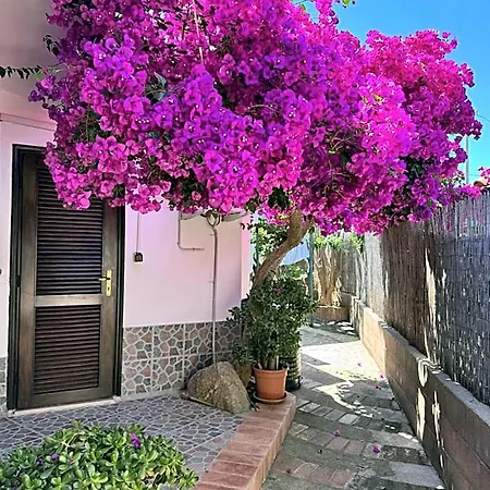 Baia Di Riaci Tropea فندق مبيت وإفطار
