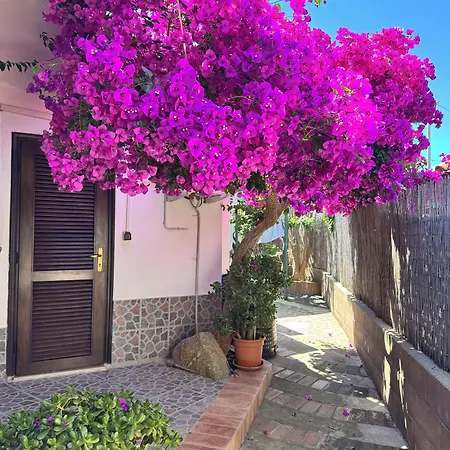 Baia Di Riaci Tropea Bed and breakfast Santa Domenica Talao