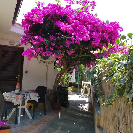 Bed & Breakfast Baia Di Riaci Tropea