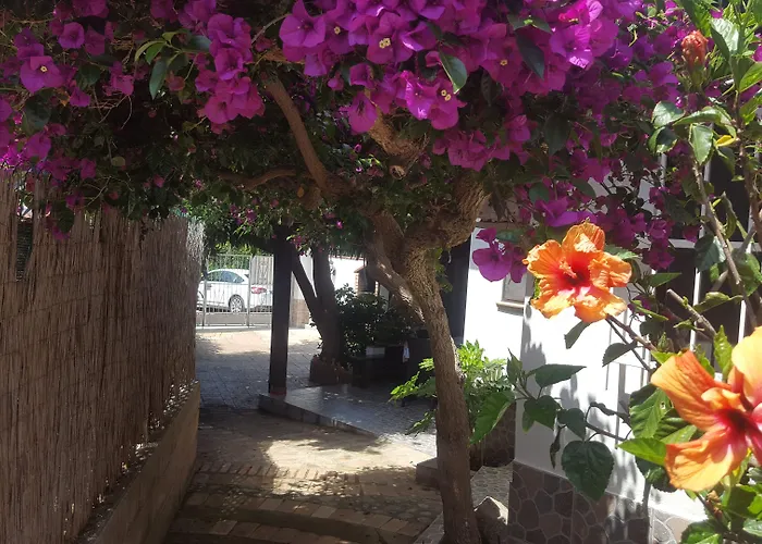 Baia Di Riaci Tropea 3* סנטה דומניקה